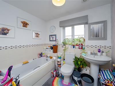 Picture 22